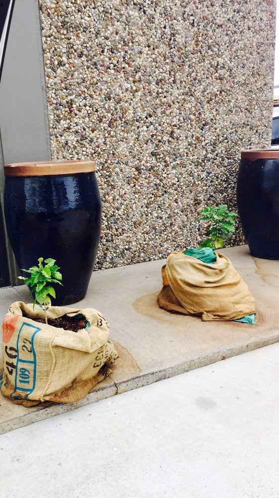 Katz Coffee 16 Photos & 24 Reviews Coffee & Tea 2400 Karbach St