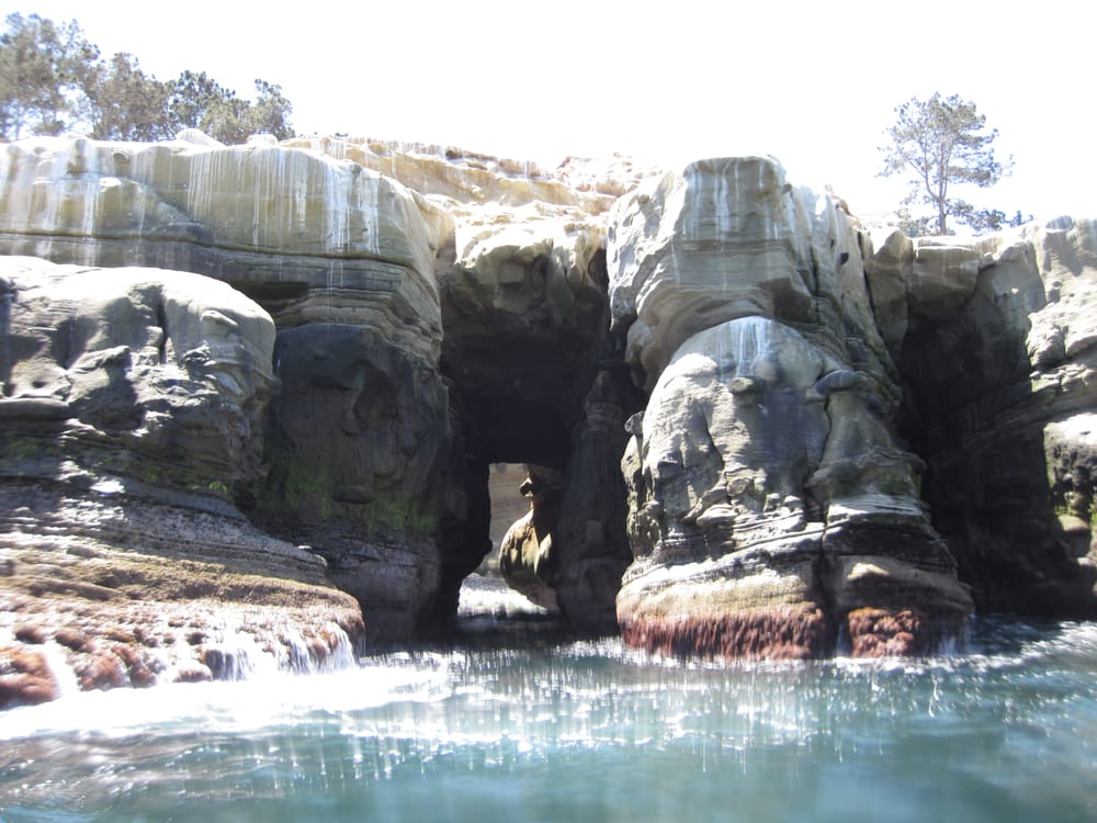 La Jolla Sea Cave Kayaks 126 Photos & 174 Reviews Rafting/Kayaking