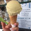 Casanova Gelato