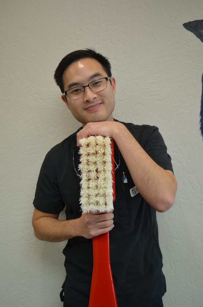 image of business General Dentistry 4 Kids - Country Club