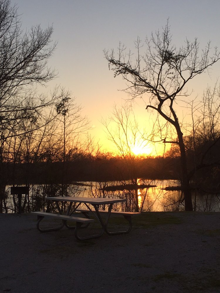 Forkland Campground Campgrounds 1365 Forkland Park Rd, Forkland, AL