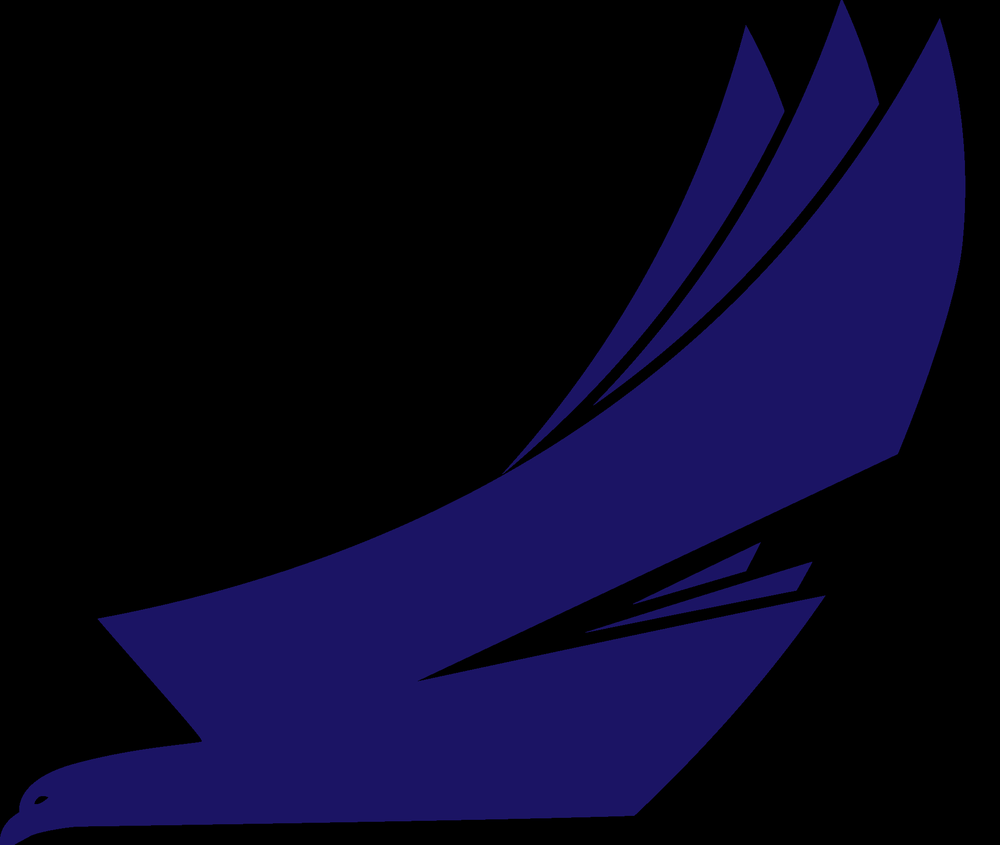 image of business Eagle Home Repair Services
