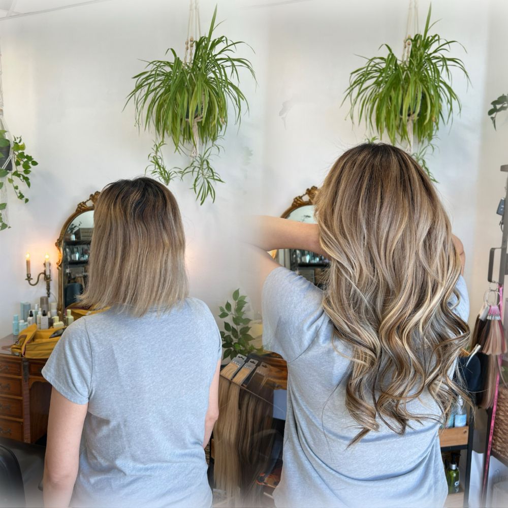 Hair & Extensions - Niko