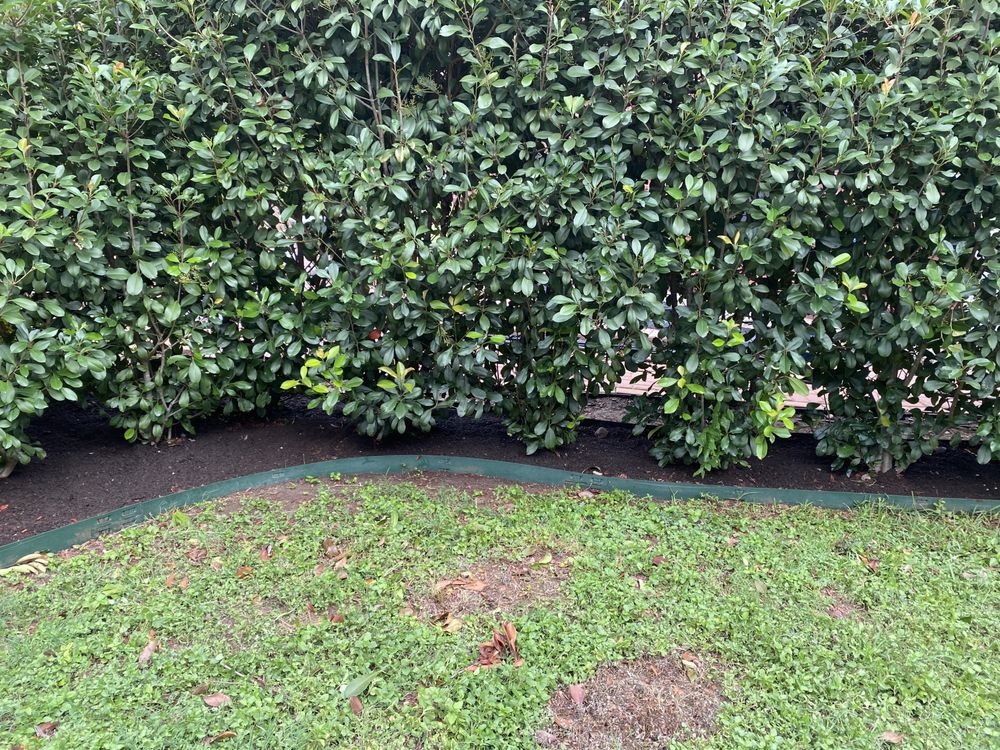 Ecoterra Landscaping & Irrigation