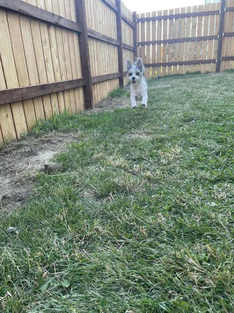 Cascade Ridgeline Construction