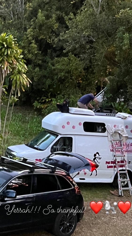 image of business Affordable Appliance & A/C Repair