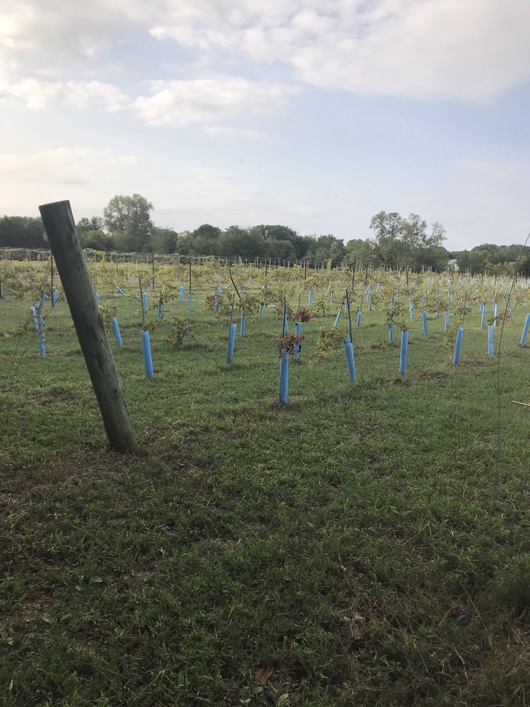 Avian Glen Winery