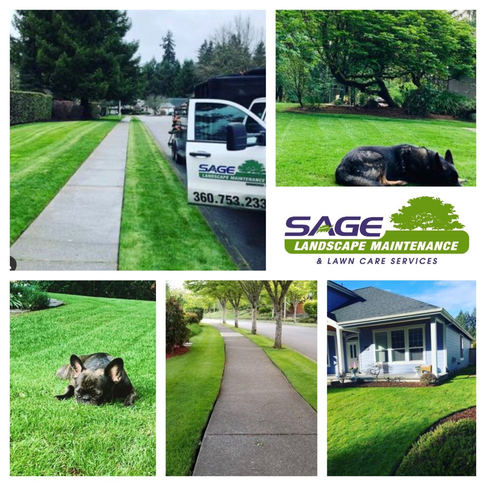 Sage Landscape Maintenance