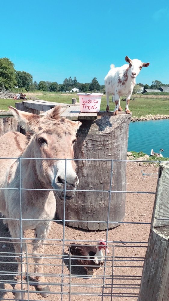 Manfredi Farms