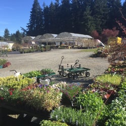 Nursery Vancouver Wa Thenurseries Cascade Greenhouse 18 Photos Nurseries Gardening 6005 Ne