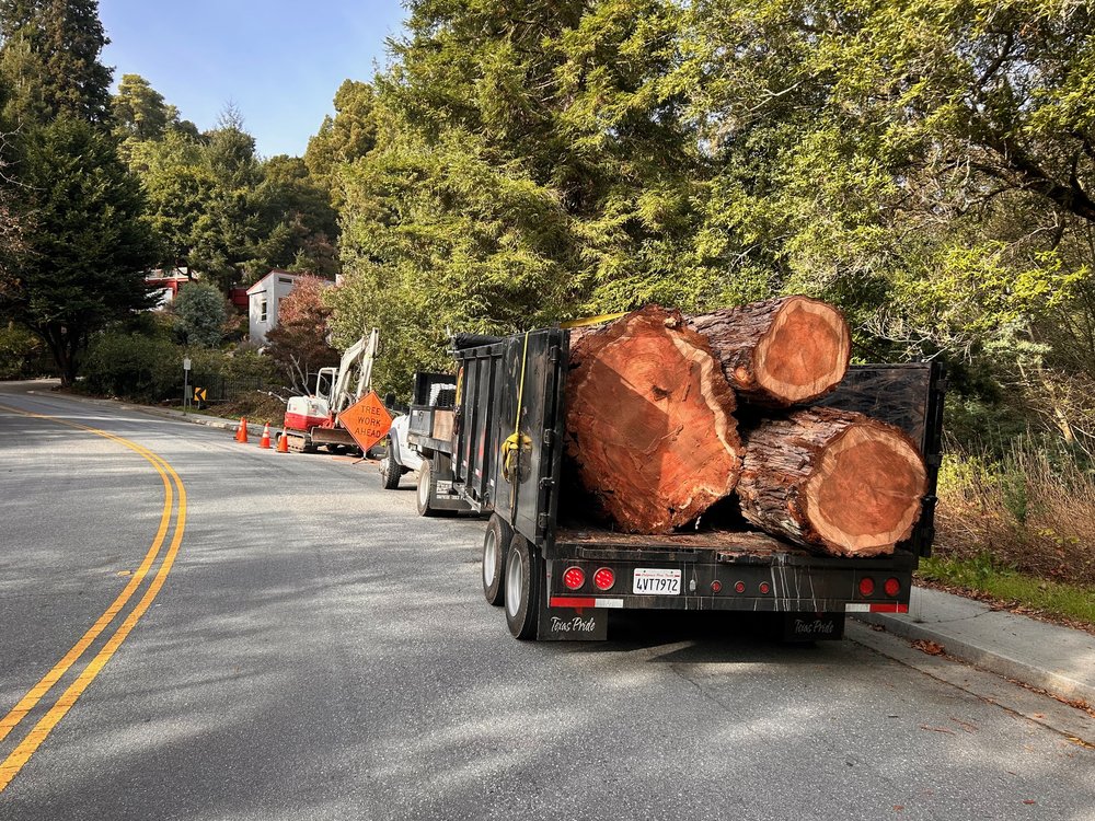 Christianson Tree Experts