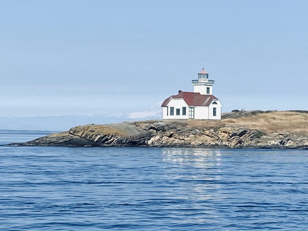 Photo of Blackfish Tours by Outer Island Expeditions