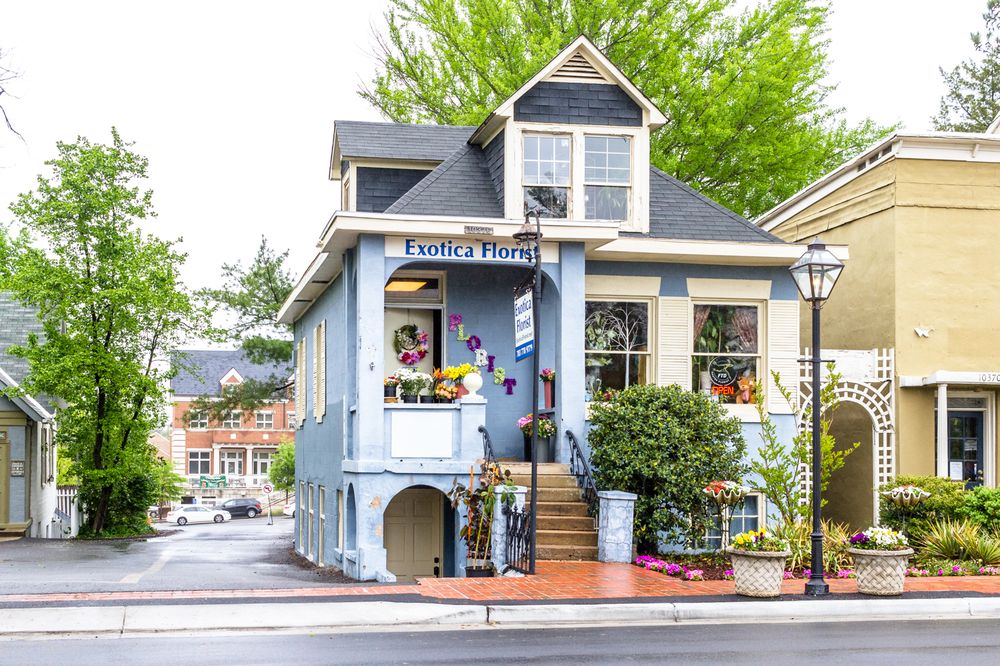 Exotica Florist