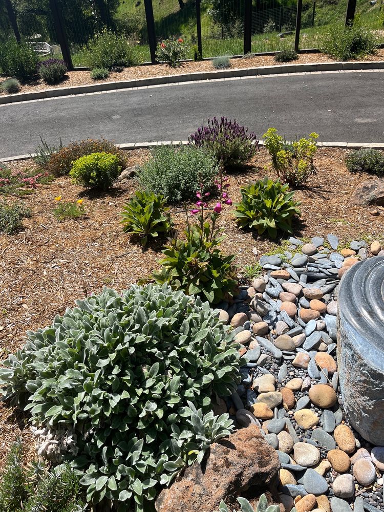 Deva Gardens