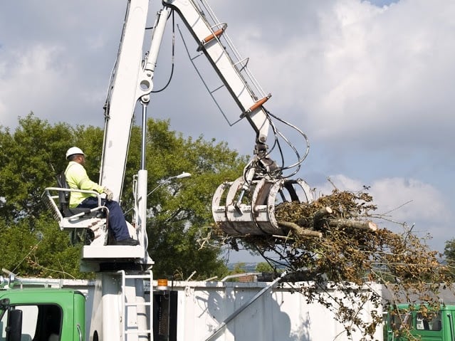 Awesome Tree & Stump Services