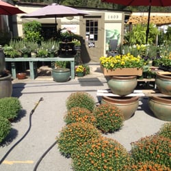 Mark Bates Landscaping Garden Center Nurseries Gardening Photo Of Mark Bates Landscaping Garden Center Bwood Tn United States