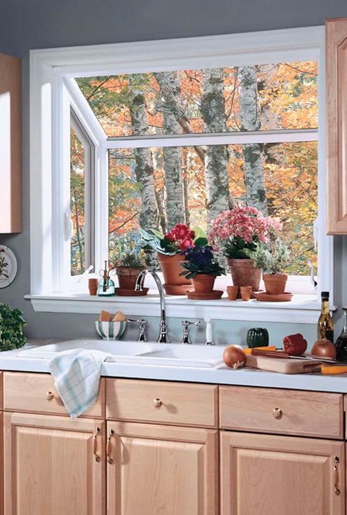 Stanek Windows