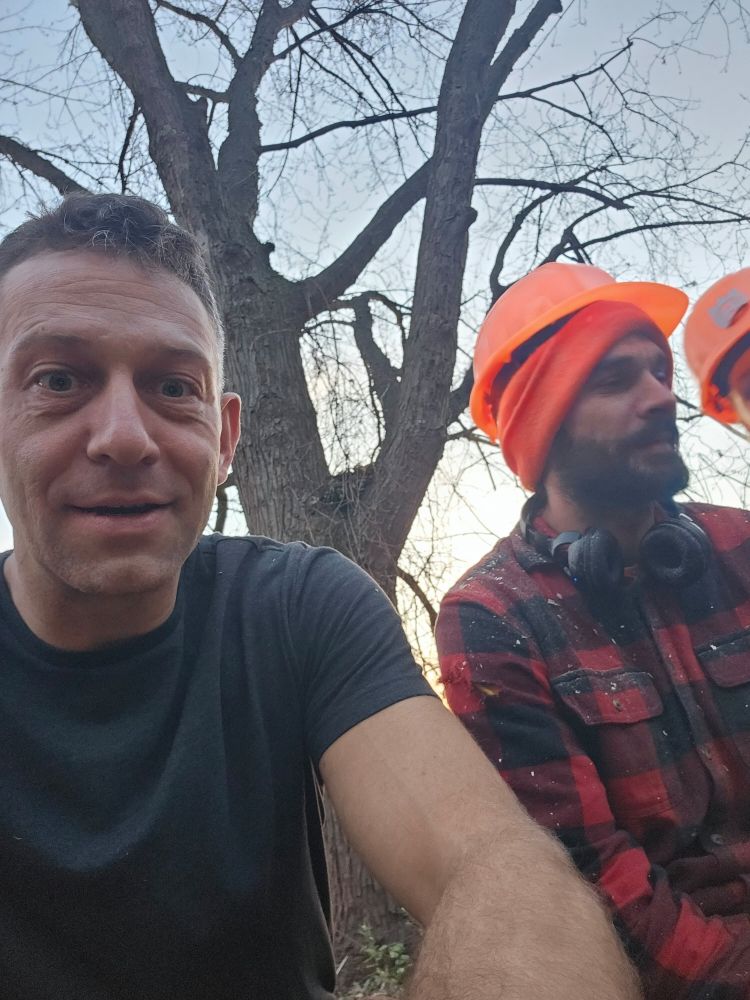 Earth Tenders Tree Care