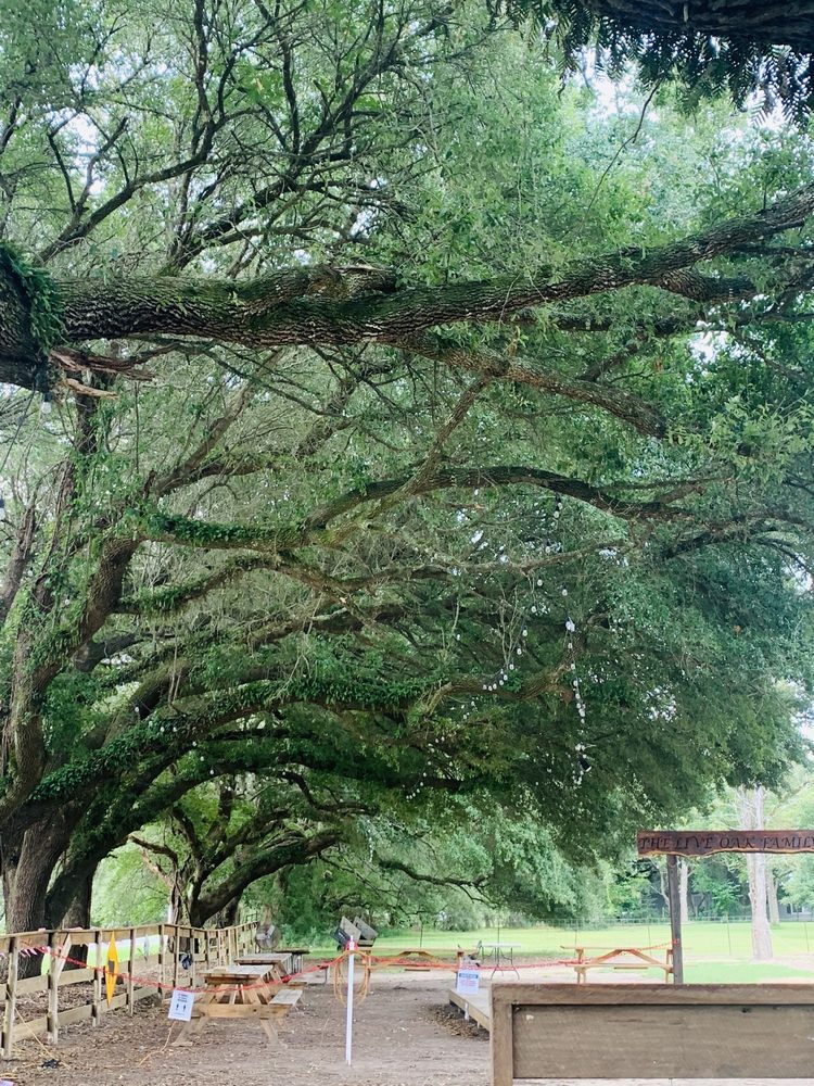 Live Oak Family Grill