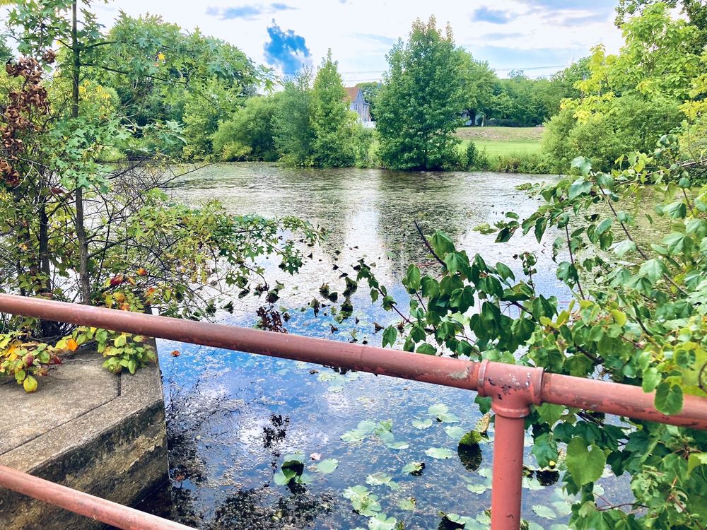 Waltman Park Image