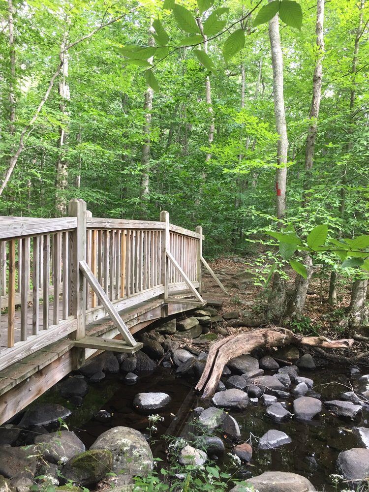 Chatfield Hollow State Park 27 Photos & 10 Reviews Parks 381 Rte