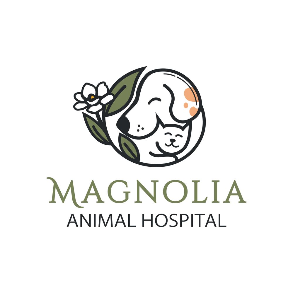 Dog Vca Magnolia By The Gulf 24 Hour 24 Hr Vet 24 Hour Affordable