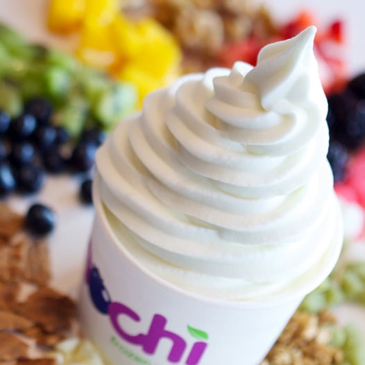 My Mochi Frozen Yogurt CLOSED Ice Cream & Frozen Yogurt 2941 W US