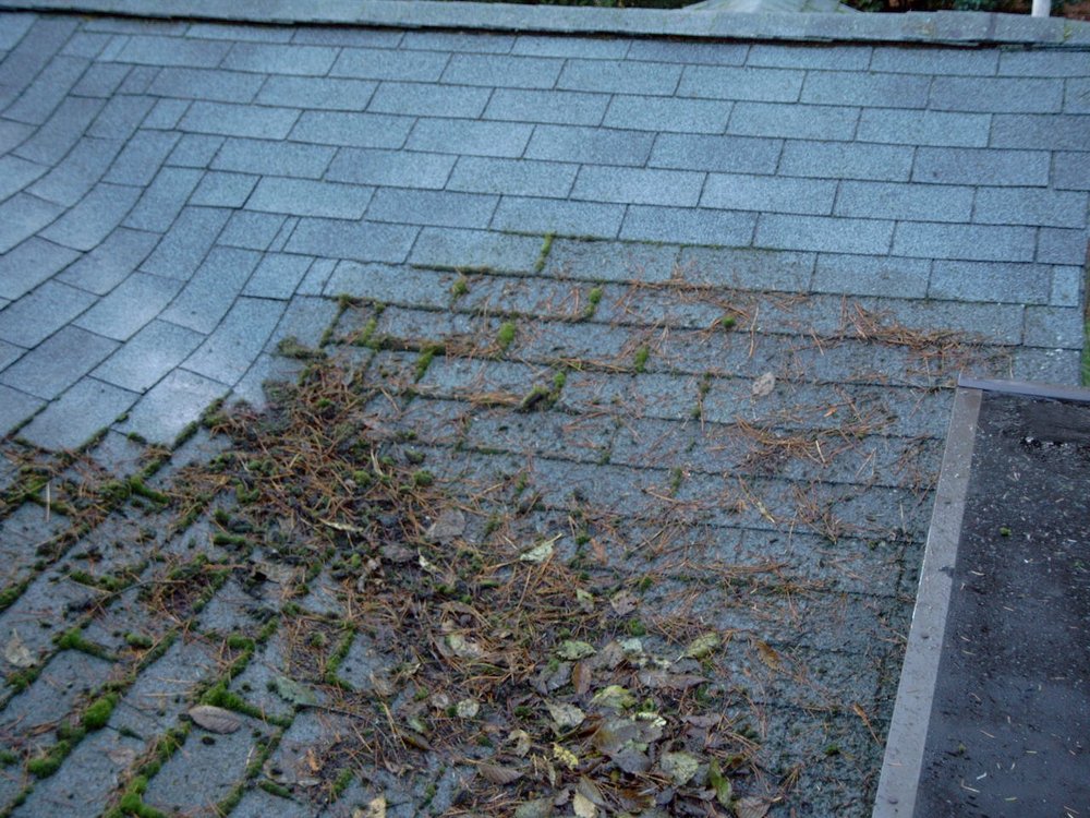 D 'n' S Janitorial Services Co