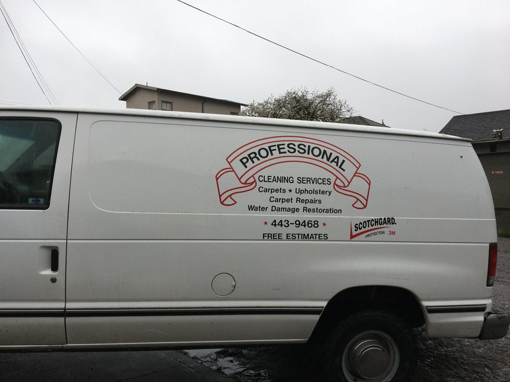 Professional Cleaning