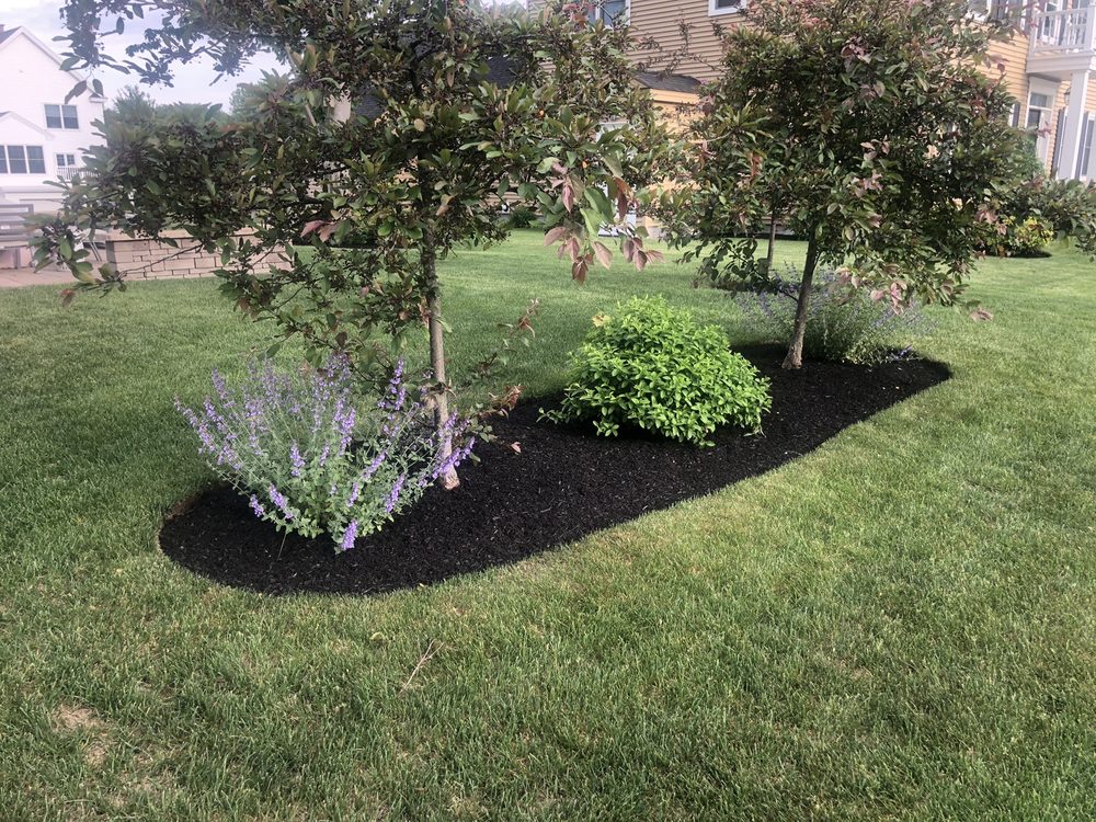 image of business Maine Turf & Greenery Inc