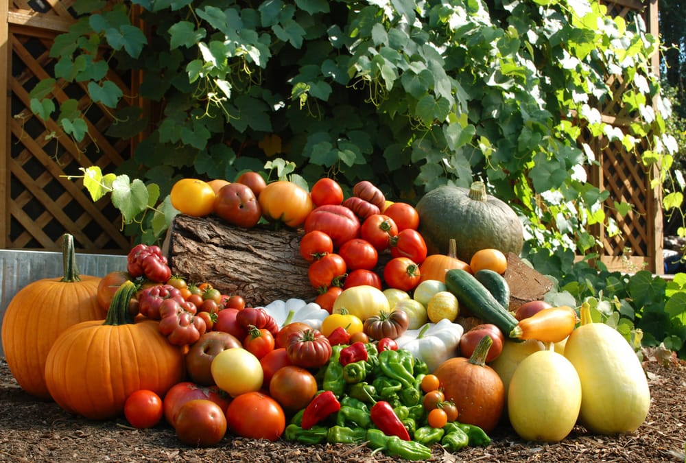 Farmscape