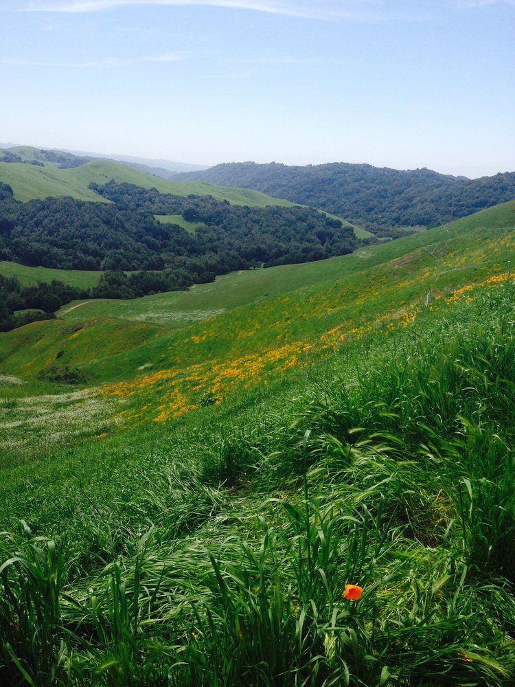 Rancho De Los Amigos Horseback Riding 12350 Cull Canyon Rd, Castro