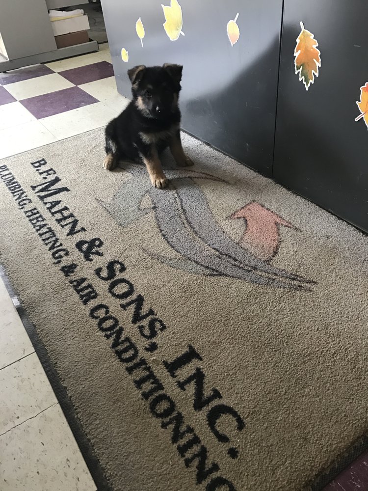 image of business BF Mahn & Sons