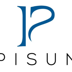 Pisun - CLOSED - Web Design - 180 Promenade Cir, Natomas, Sacramento ...