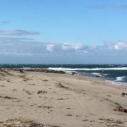 Great Point Lighthouse 12 Photos Landmarks Historical Photo Of Great Point Lighthouse Nantucket Ma United States More Seals