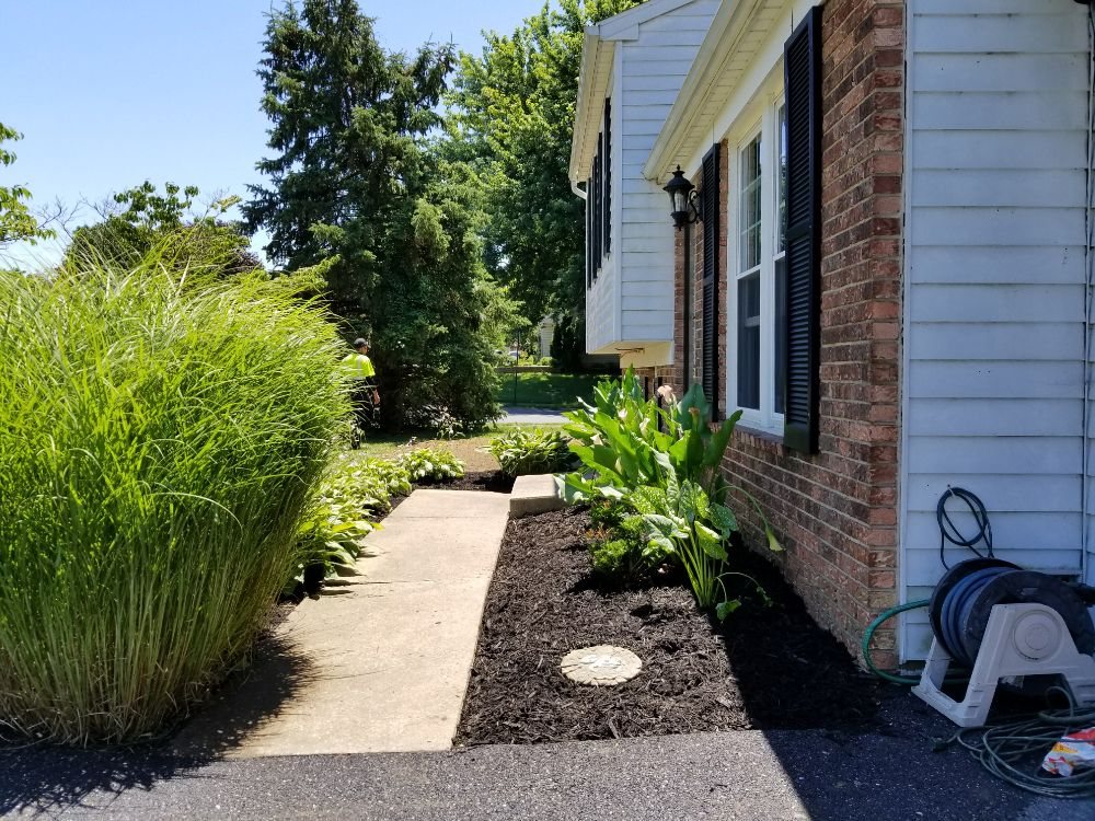 Victoriano Contracting