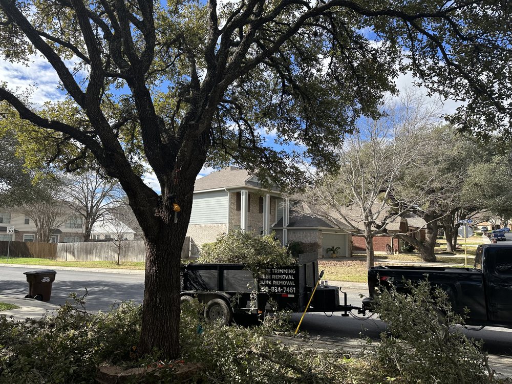 Jo'se Tree Trimming And Lawn Care