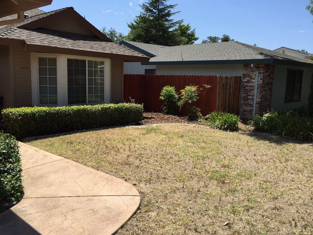 Shear Perfection Landscape & Maintenance Company