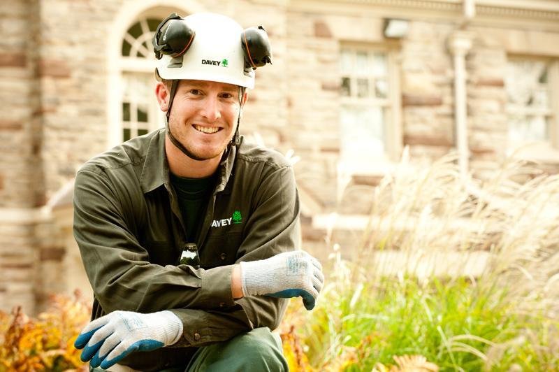 Davey Tree Expert