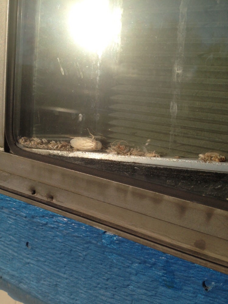 All City Towing 11 Photos Towing 21840 N 20th St, Phoenix, AZ