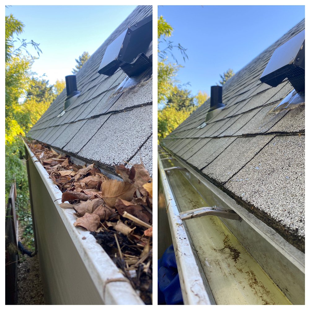 Premier Property Maintenance Services