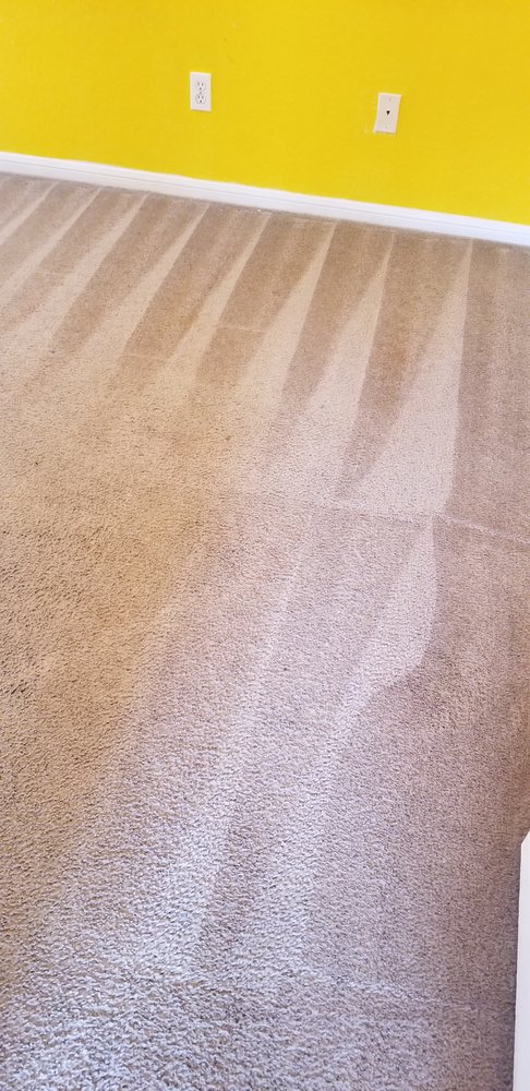 A Carpet Pro