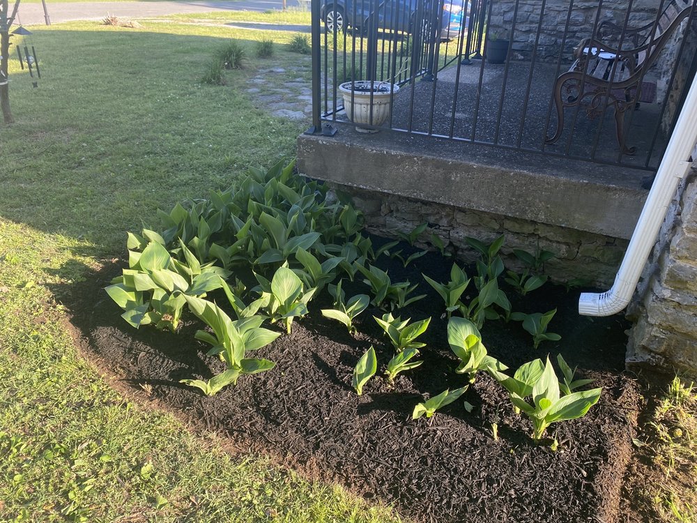 ForeverGreen Lawn Care