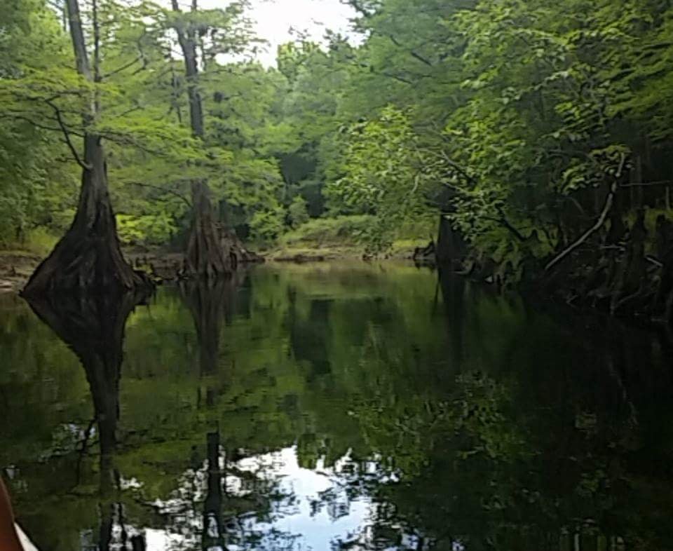 Withlacoochee River RV Park & Canoe Rental RV Rental 39847 State