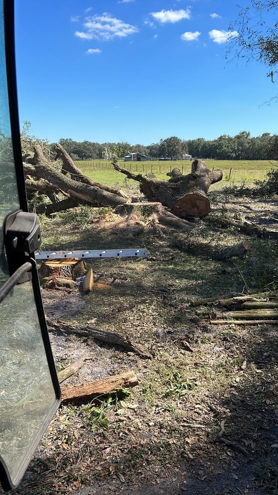 R&G Tree Service Solutions