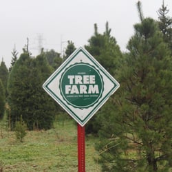 luers christmas tree farm 83 photos sapins de no 235 l luers christmas tree farm 83 photos sapins de no 235 l