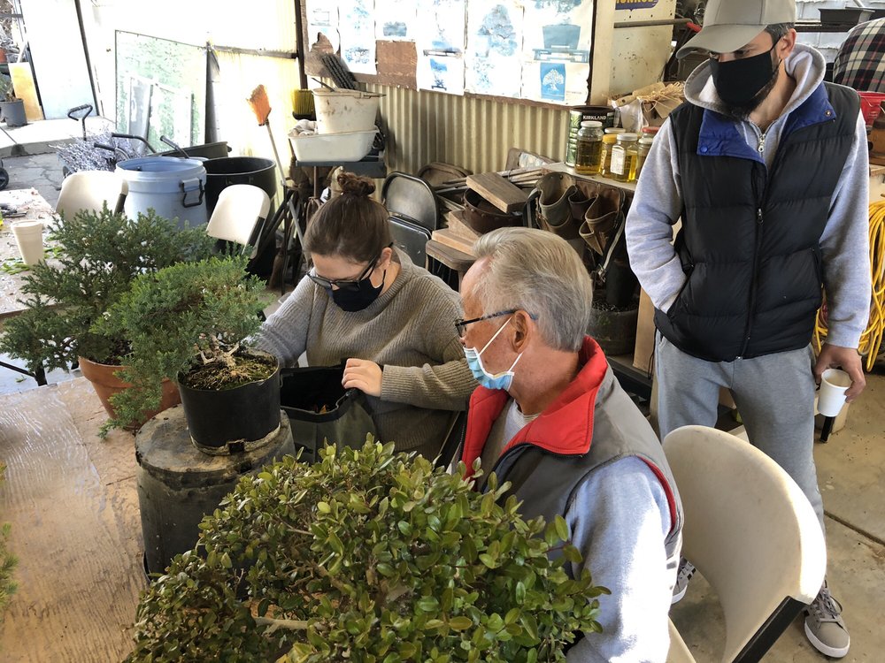 Fuji Bonsai Nursery