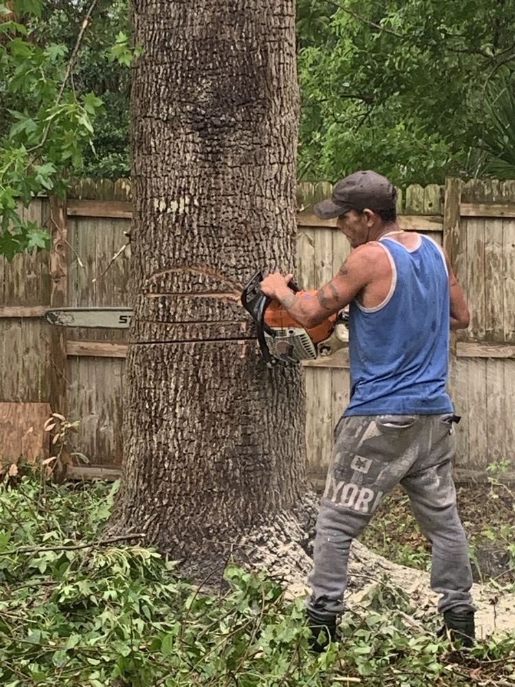Arbor Master Tree & Landscape