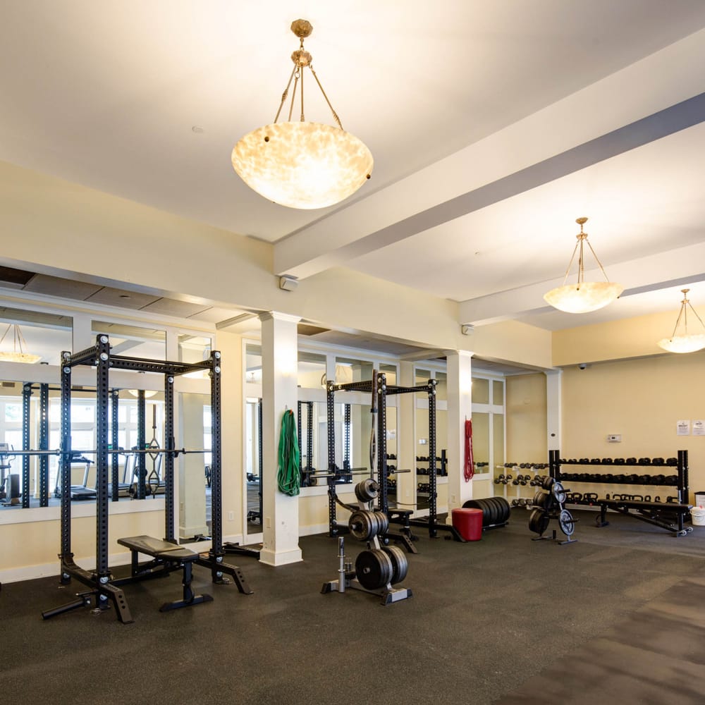 The Squat Racks At Gym Yelp Photo Of Woodard Properties Charlottesville Va United States The Squat Racks At