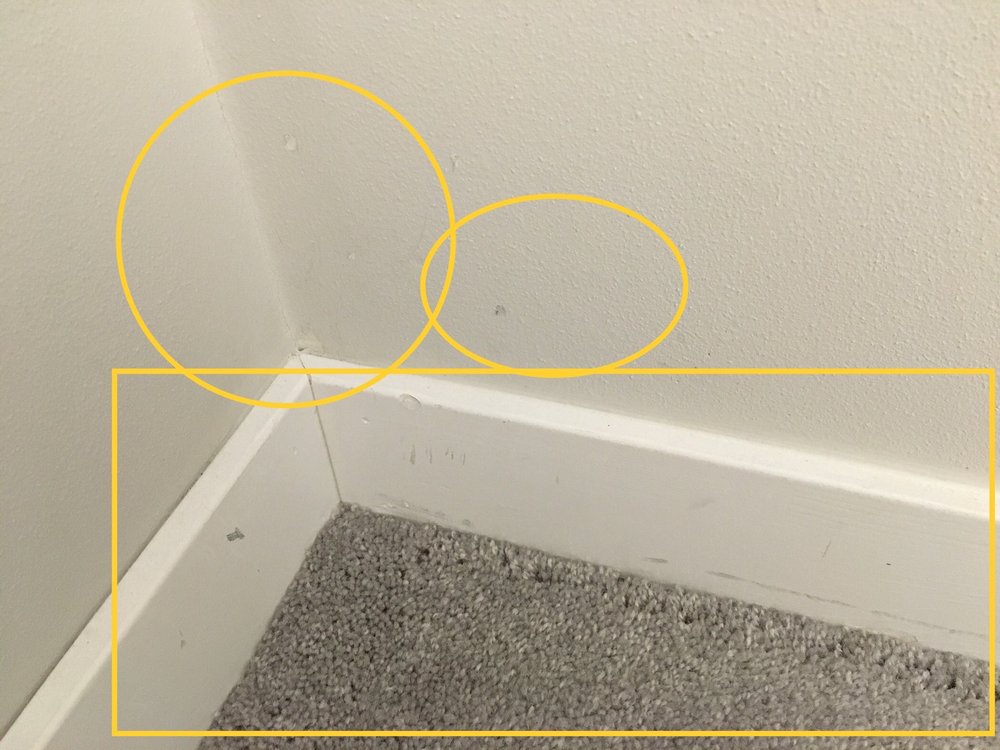 image of business RiteRug Flooring